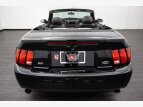 Thumbnail Photo 63 for 2003 Ford Mustang